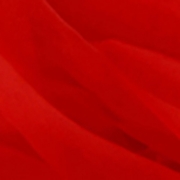 Organzatyg, röd, B: 50 cm, 10 m/ 1 rl.