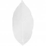 Skelettblad, vit, L: 6-8 cm, 20 st./ 1 förp.