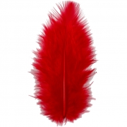 Dun, röd, stl. 5-12 cm, 15 st./ 1 förp.