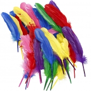 Fjädrar, mixade färger, L: 20 cm, 36 st./ 1 förp.