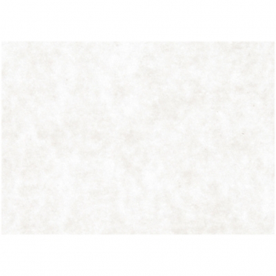 Karduspapper, vit, A2, 420x600 mm, 100 g, 500 ark/ 1 förp.